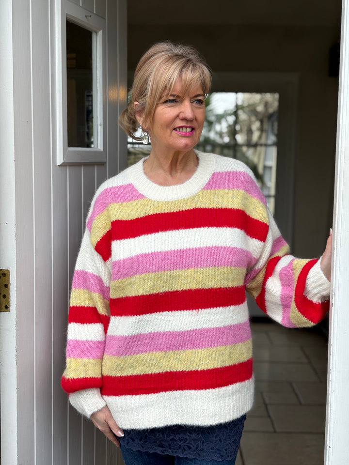 Striped Knit Jumper | Multi