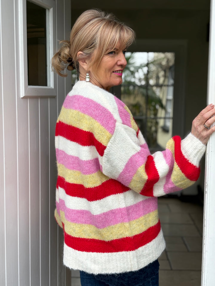 Striped Knit Jumper | Multi