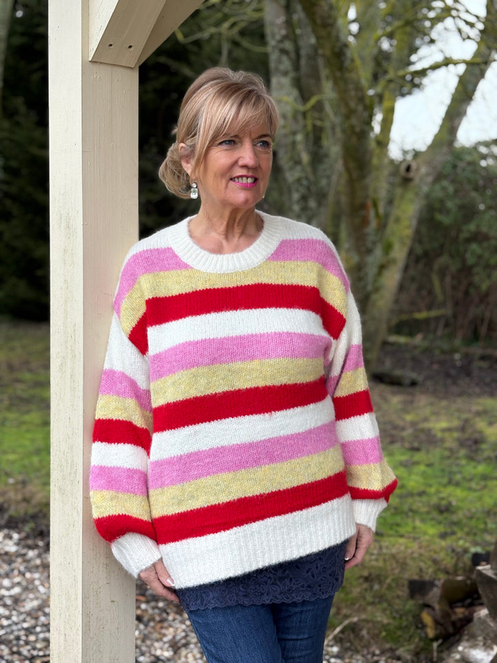 Striped Knit Jumper | Multi